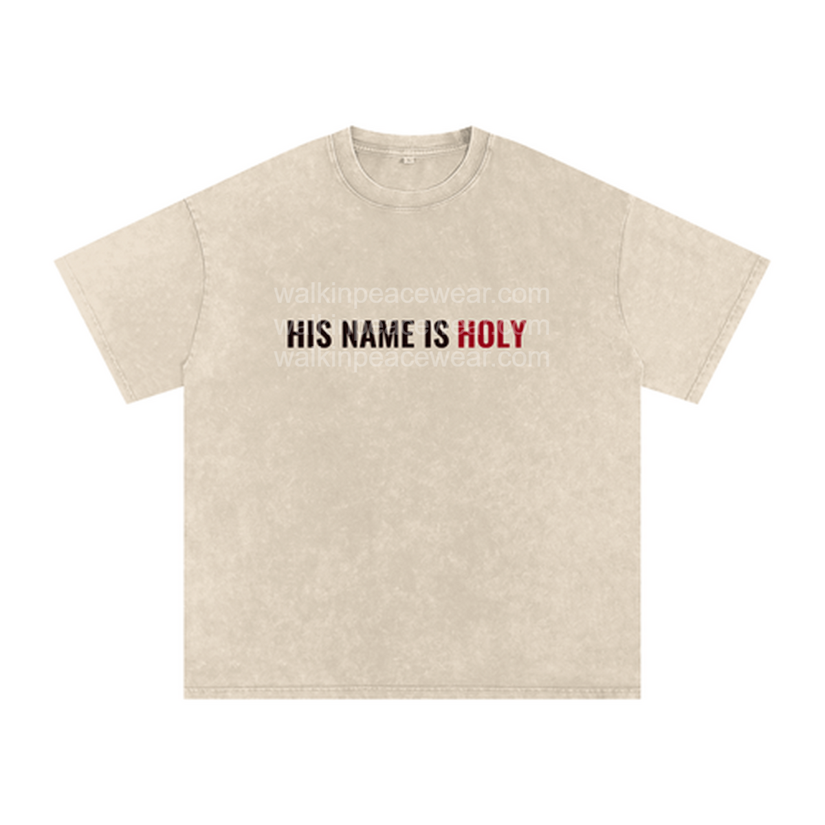 His Name Is Holy Oversized Tee