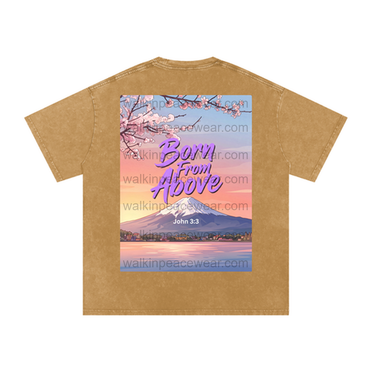 John 3:3 Born From Above Oversized Tee
