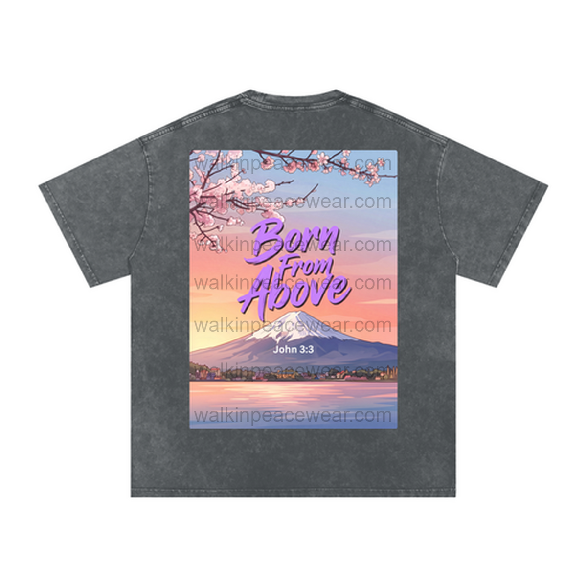 John 3:3 Born From Above Oversized Tee