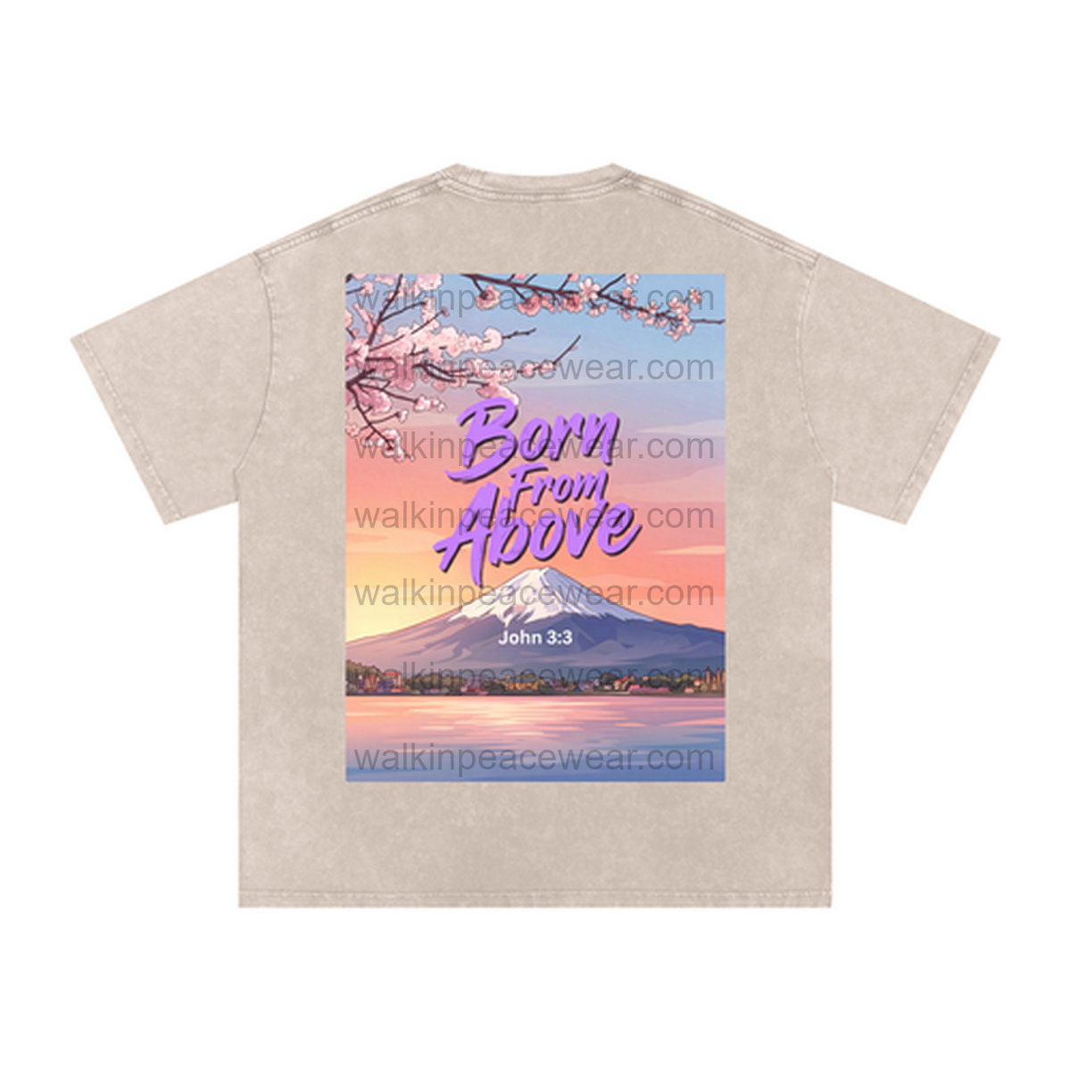 John 3:3 Born From Above Oversized Tee