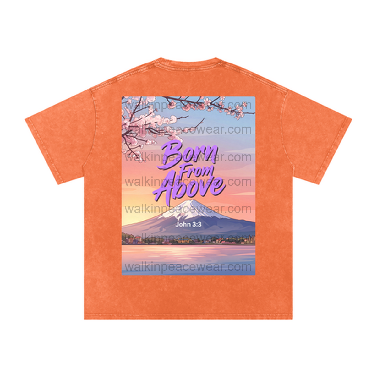 John 3:3 Born From Above Oversized Tee
